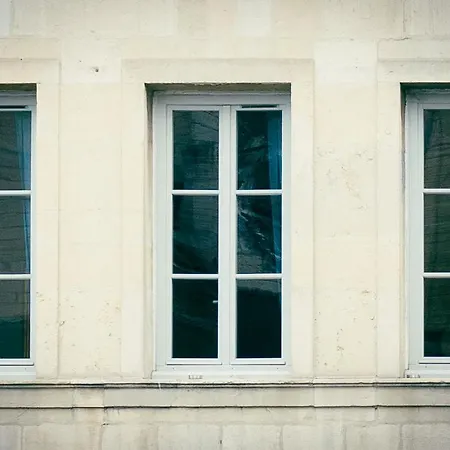 Au Roi Lion, Place Saint Michel * Дижон