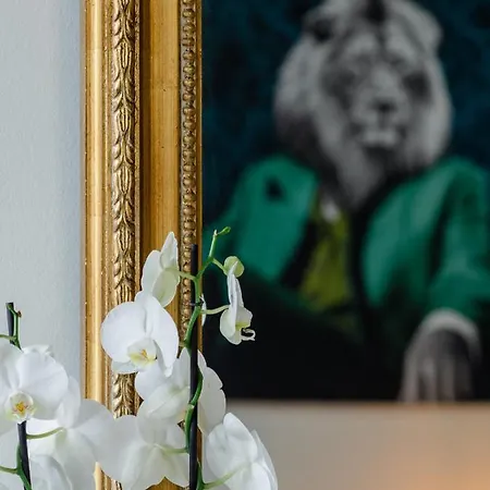 Au Roi Lion, Place Saint Michel Дижон