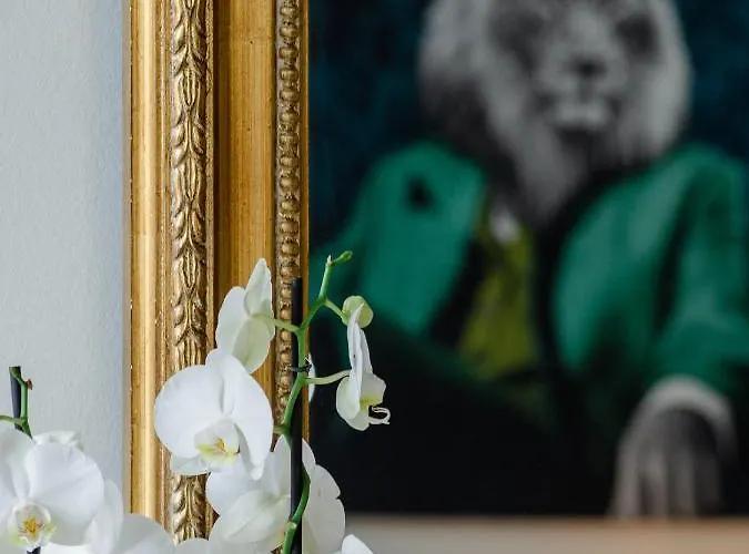 Au Roi Lion, Place Saint Michel Dijon