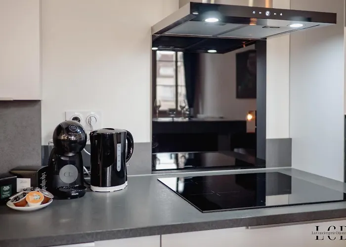 アパート Au Roi Lion, Place Saint Michel *